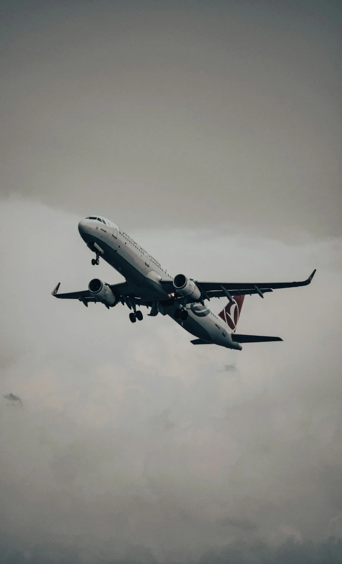 الطيران التركي